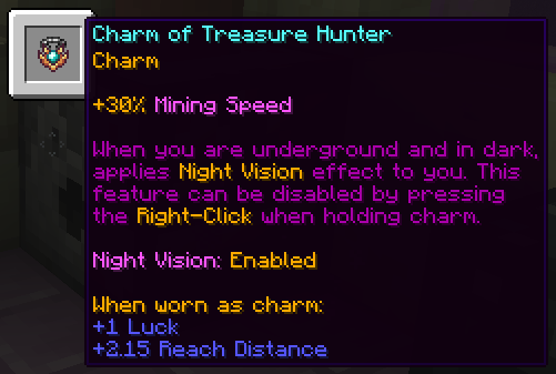Charm of Treasure Hunter