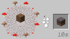 Mycelium Recipe