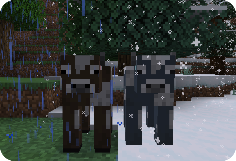 Taiga cow variant