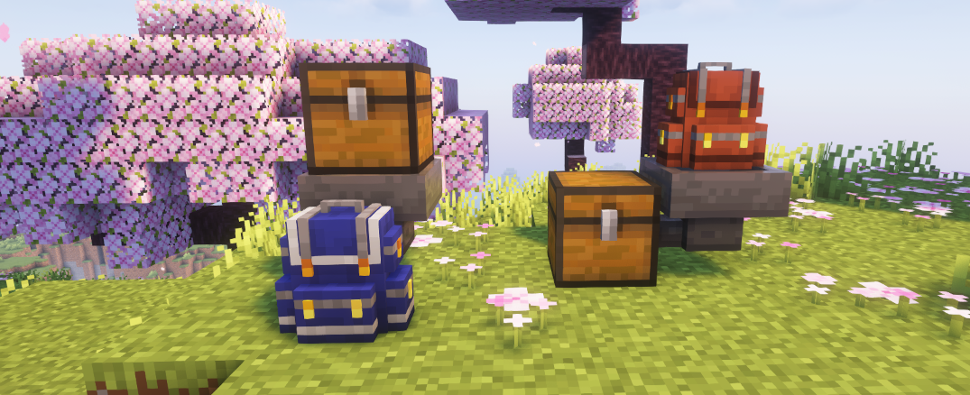 Backpack in world