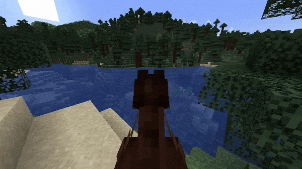Swimming with Horse!