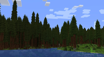 Redwoods