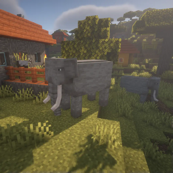 Elephant