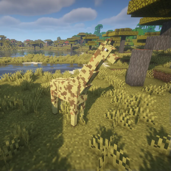 Giraffe