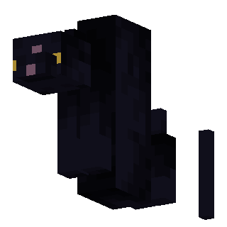 Cat, animated