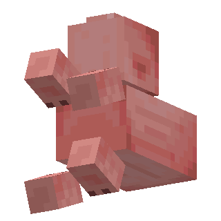 Pig, animated