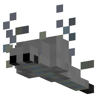 Silverfish, animated