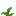 kelp.png