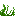 seagrass.png