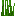 tall_seagrass_bottom.png