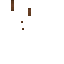 leather_overlay.png