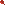 red_poplar_3.png