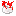 Tooth