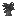 Etycola sapling