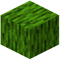 Luminapin Wood