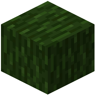 Noctacacia Wood