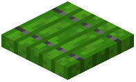 Noctacacia trapdoor