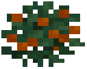 Orangeberrystage 0