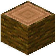 Palm log