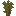 Palm sapling