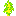 Yophylys sapling