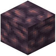 Raw Ostrum Block