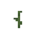Poppy Plant
