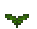 Weed Plant