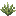 Wild Weed Plant
