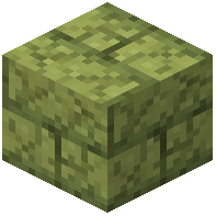 Cracked Slippery Sand Stone Bricks