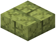 Cracked Slippery Sand Stone Bricks Slab