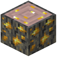 Golden Beech Log