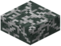 Mossy Stellar Stone Slab
