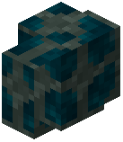 Polished Glaucophanite Wall