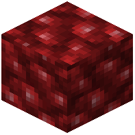Raw Ruby Block