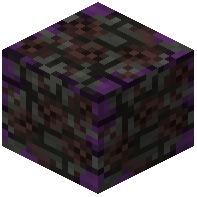 Shadow Catacombs Skull Bricks