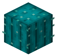 Sky Cactus