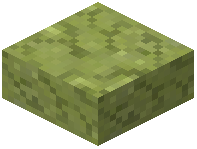 Slippery Sand Stone Slab