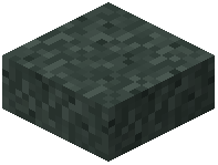 Stellar Stone Slab