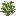 Bush Stem