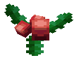 Holly Berry 2