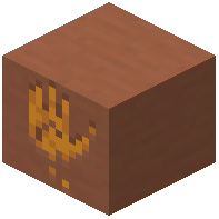 Printed Terracotta