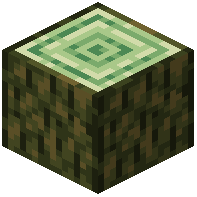 Sigillaria Log