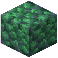 Cobbled Enchanted Stone
