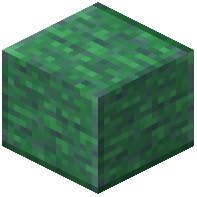 Enchanted Stone