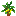 Banana Sapling