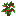 Cherry Sapling
