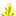 Large Sulfur Bud