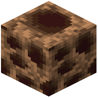 Leafcutter Anthill