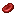 Raw Bear Meat Slice
